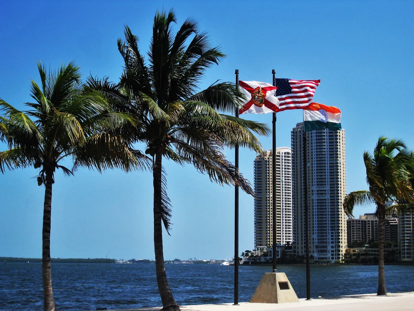 Miami waterfront high-rises and palm trees along Biscayne Bay